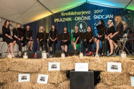 KOT DA 20 LET PEVSKE SKUPINE PLAMEN NI MIMO